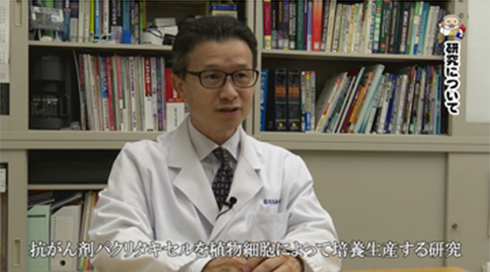 抗がん剤の生産方法についての研究