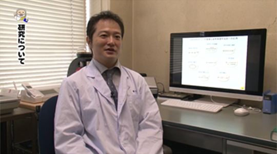 酵母菌のゲノムを解き明かし、新しいゲノムを作り出す研究