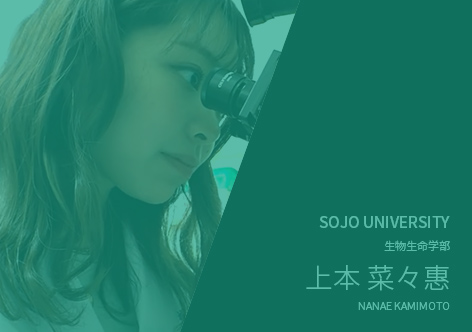 生物生命学科
